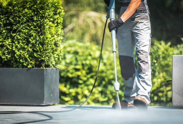 Animal Enclosure Cleaning in Ten Mile Run, NJ