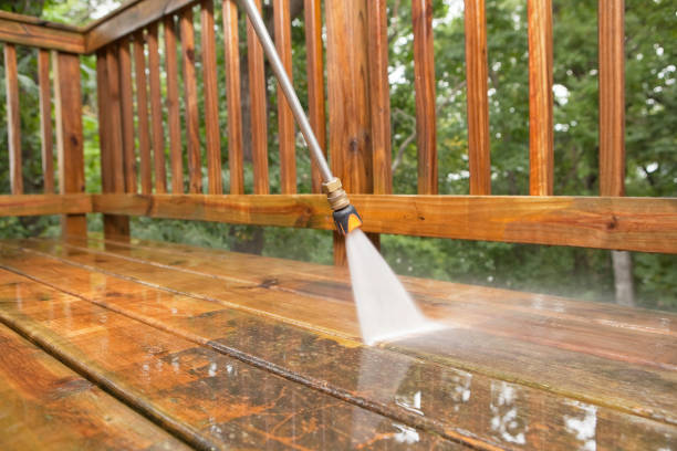 Best Solar Panel Cleaning  in Ten Mile Run, NJ